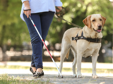 Превью публикации Как сделать городское пространство доступнее